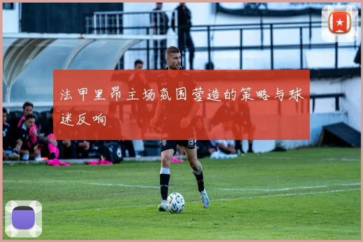 法甲里昂主场氛围营造的策略与球迷反响